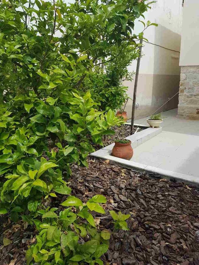 Mangoseaview Home1 Nea Roda Zewnętrze zdjęcie
